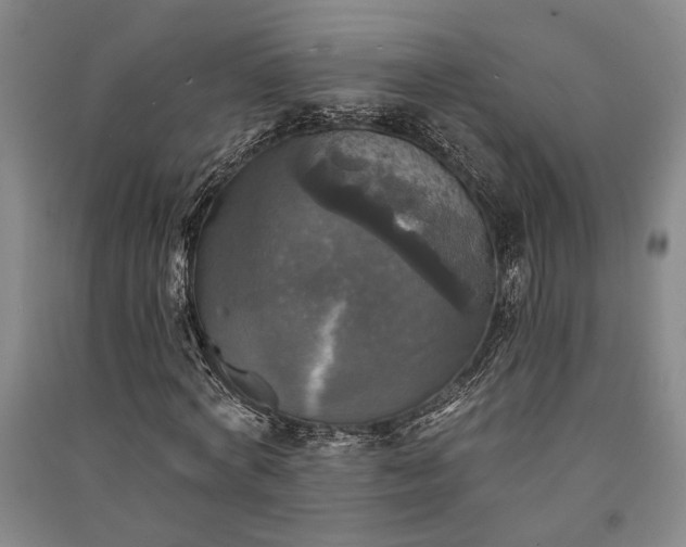 X0000091350772200708171430