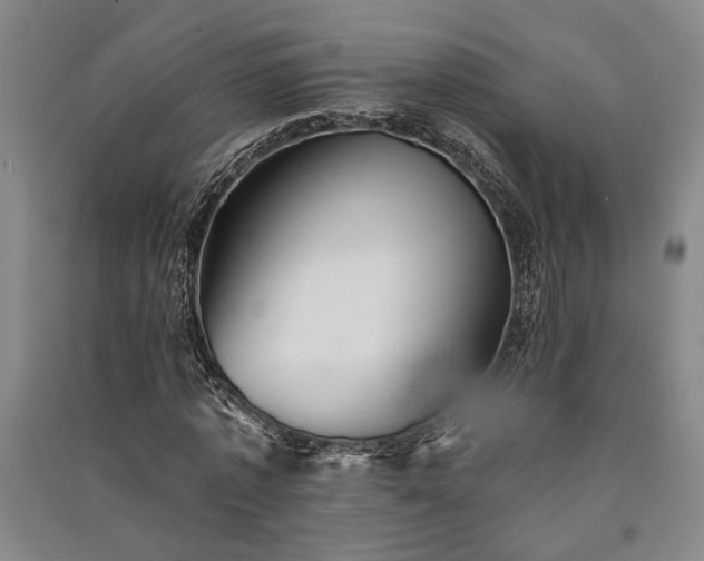 X0000091350773200708171430
