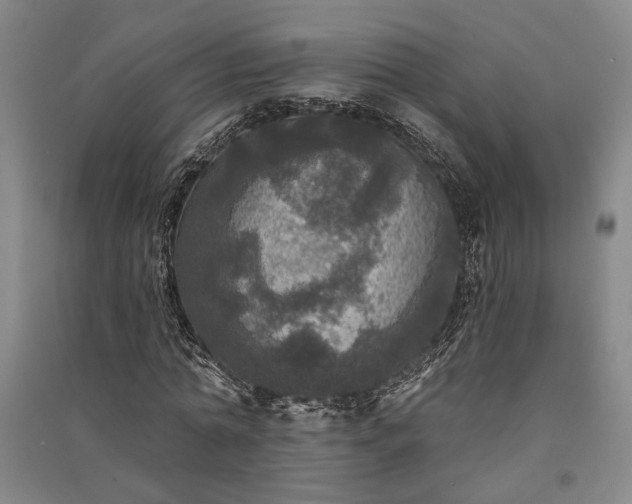 X0000091350774200708171430