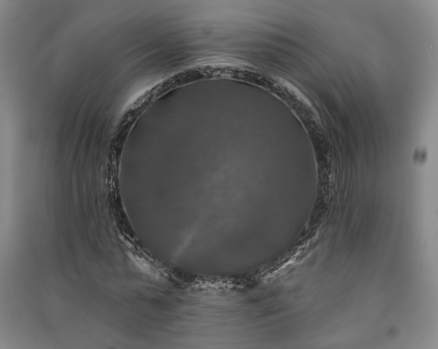 X0000091350775200708171430
