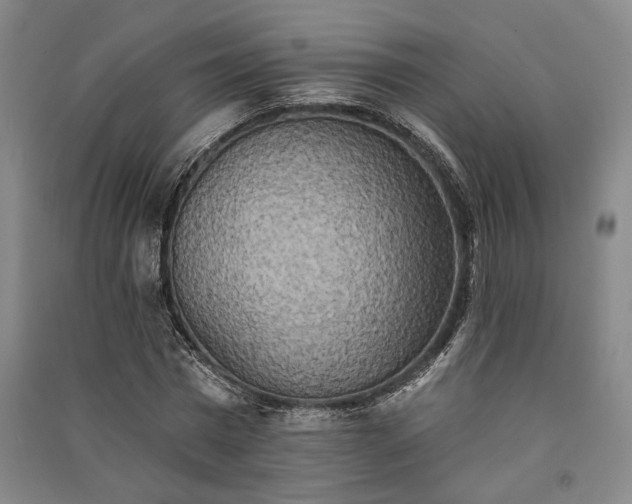 X0000091350777200708171430