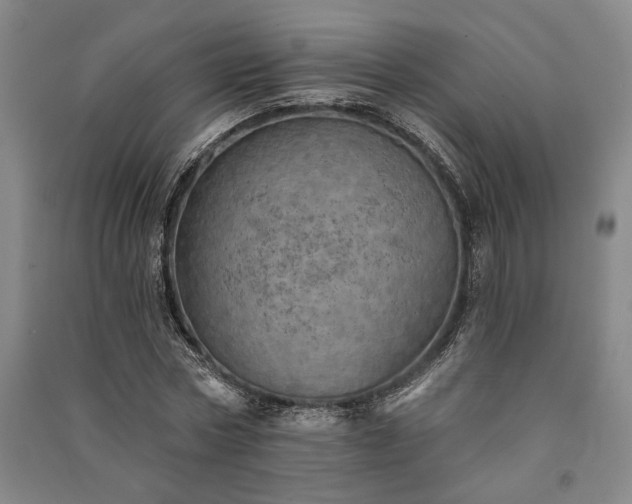 X0000091350778200708171430