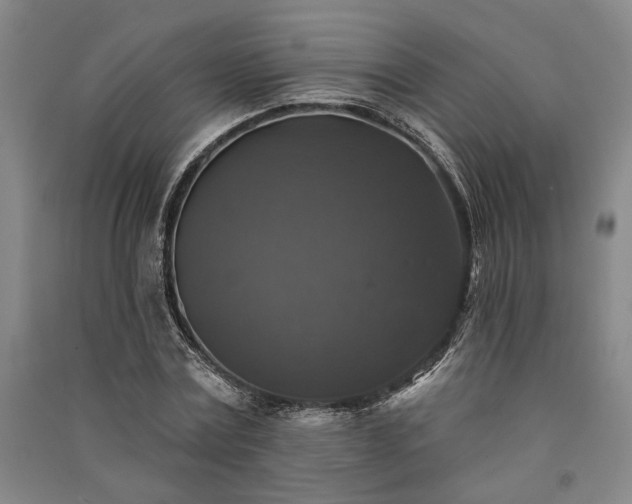 X0000091350779200708171430
