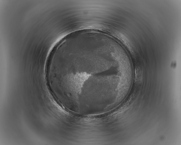 X0000091350780200708171430