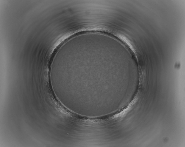 X0000091350781200708171430