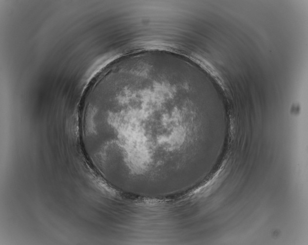 X0000091350782200708171430