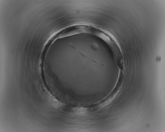 X0000091350783200708171430