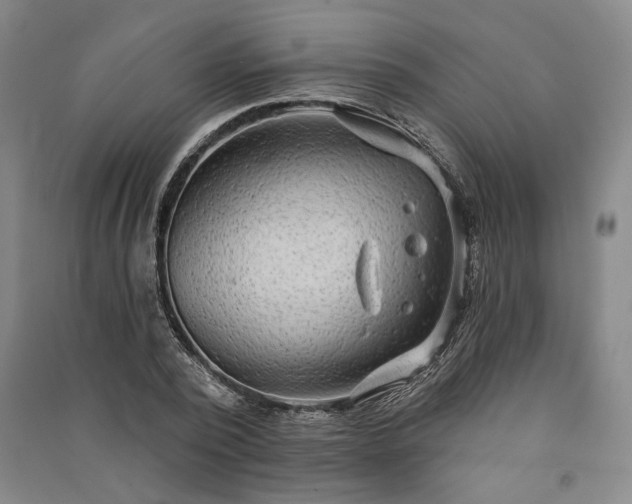 X0000091350784200708171430