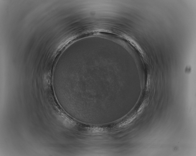 X0000091350785200708171430