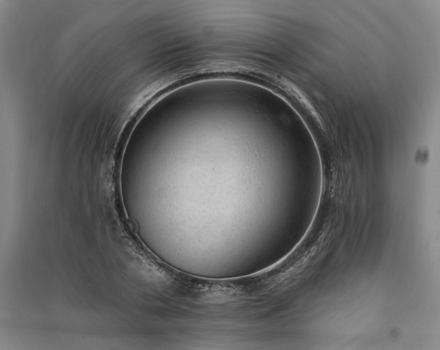 X0000091350786200708171430