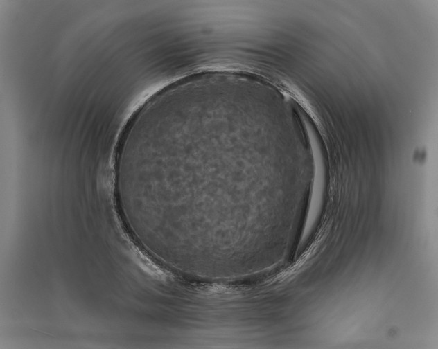 X0000091350787200708171430