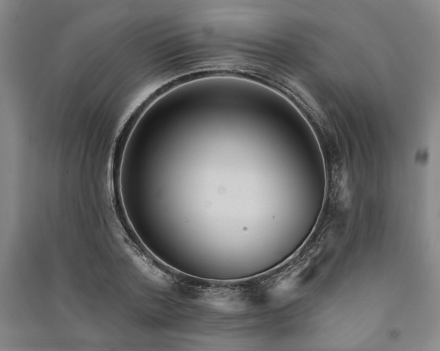 X0000091350788200708171430