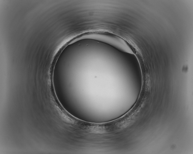 X0000091350789200708171430