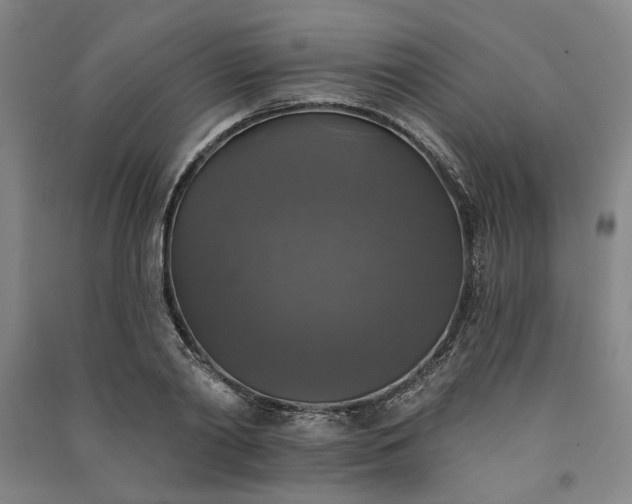 X0000091350790200708171430