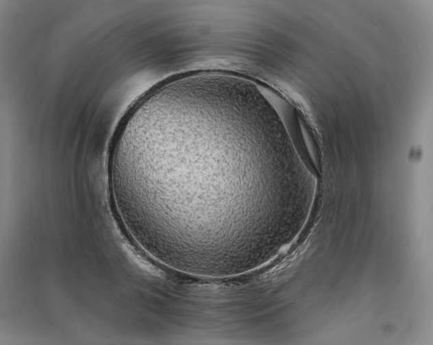 X0000091350792200708171430