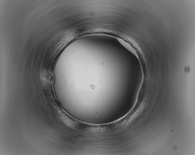 X0000091350793200708171430