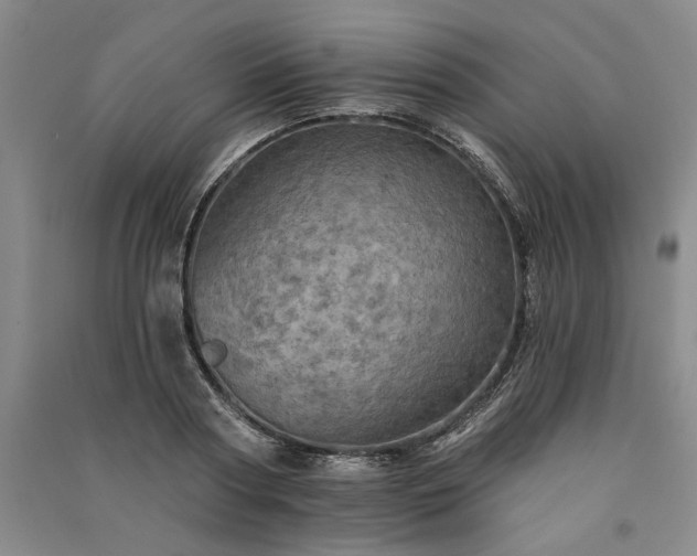 X0000091350794200708171430