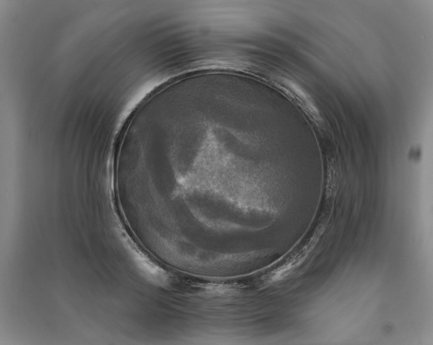 X0000091350796200708171430