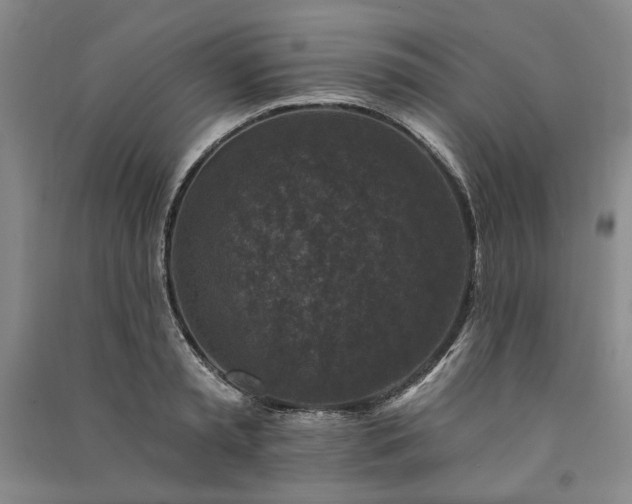 X0000091350797200708171430