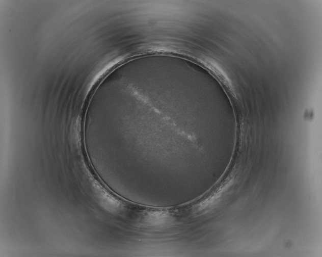 X0000091350798200708171430