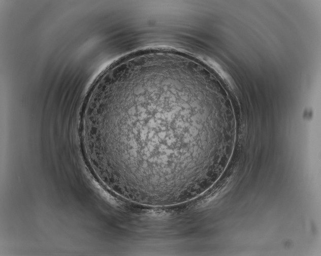 X0000091350799200708171430