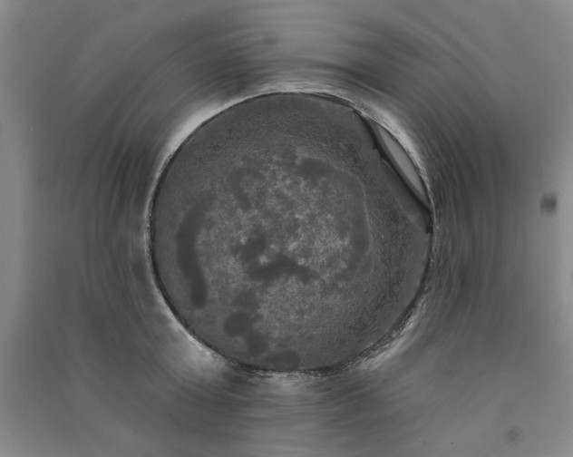 X0000091350803200708171430