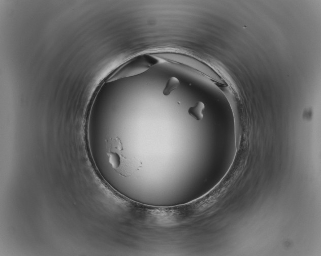 X0000091350805200708171430