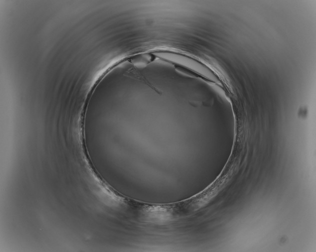 X0000091350806200708171430