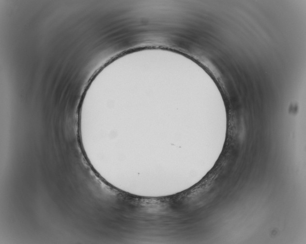 X0000091350807200708171430