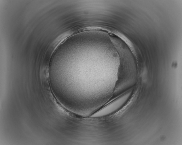 X0000091350809200708171430