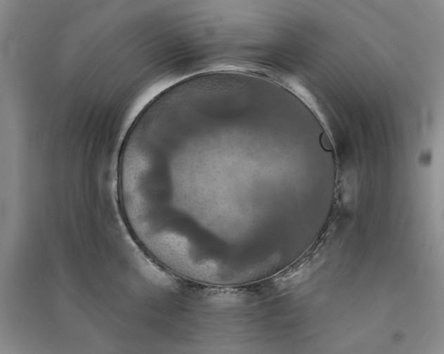 X0000091350811200708171430