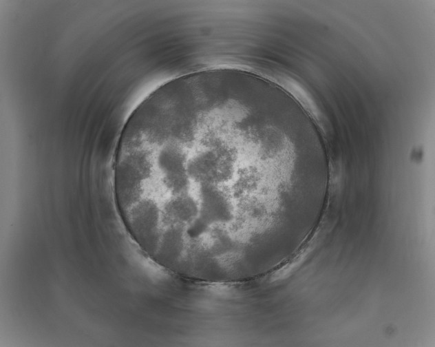 X0000091350814200708171430