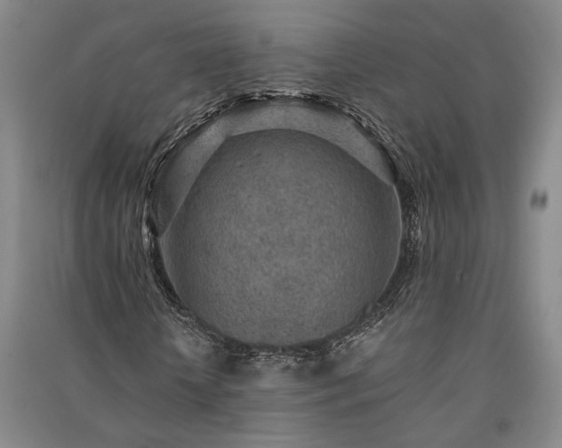 X0000091350818200708171429