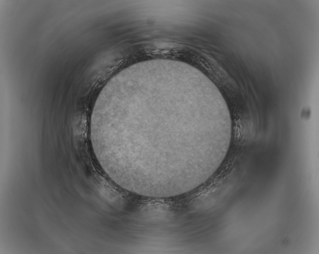 X0000091350820200708171429