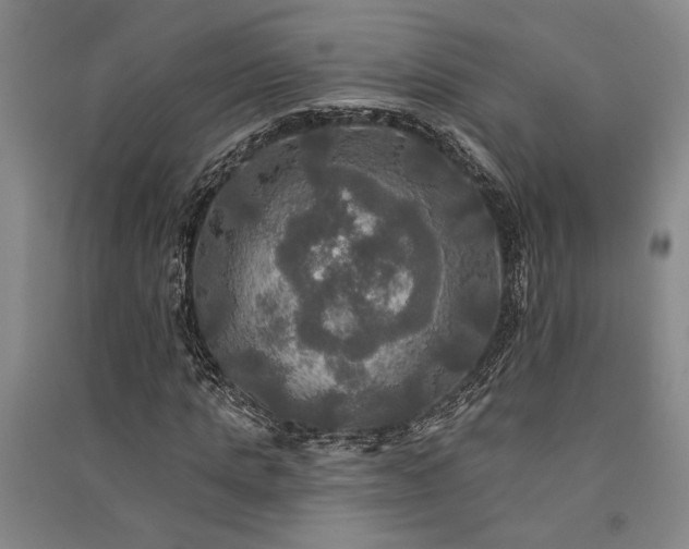 X0000091350821200708171429