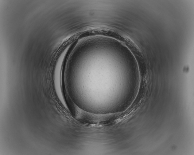 X0000091350822200708171429