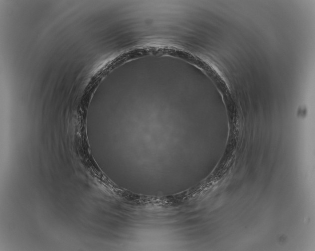 X0000091350823200708171429