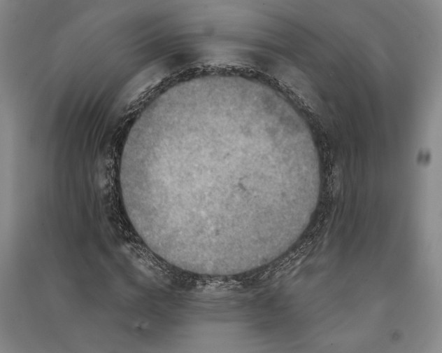 X0000091350824200708171429