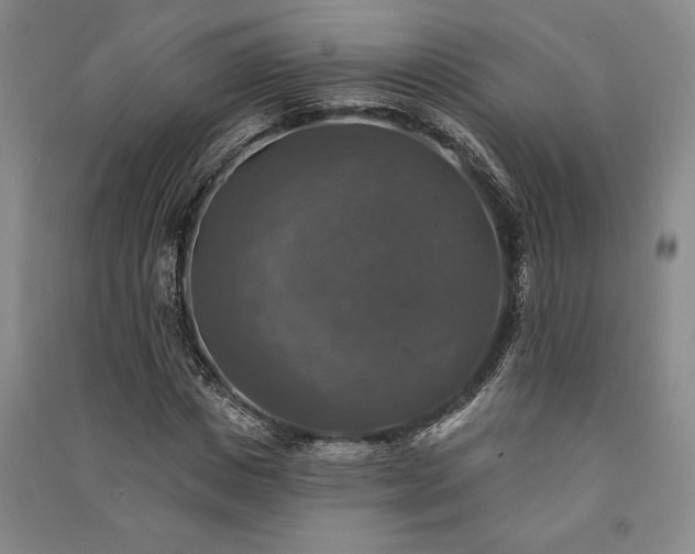 X0000091350825200708171429