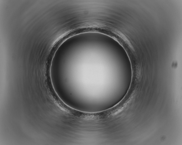 X0000091350826200708171429