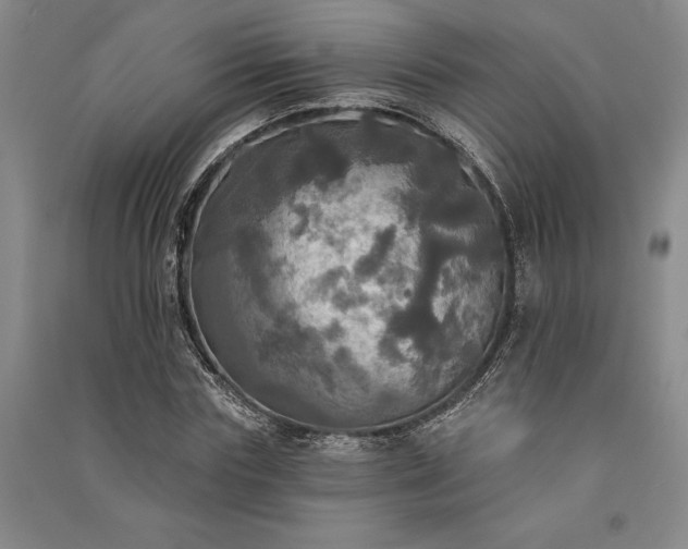 X0000091350827200708171429