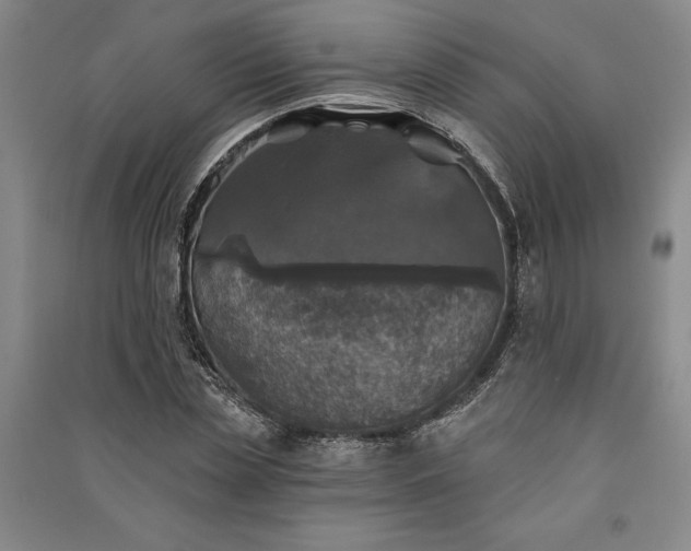 X0000091350829200708171429