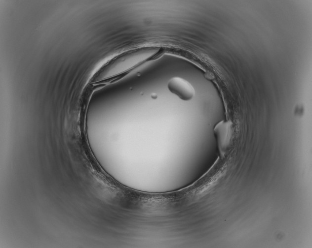 X0000091350830200708171429