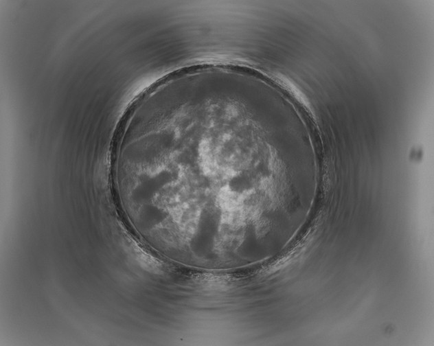 X0000091350831200708171429