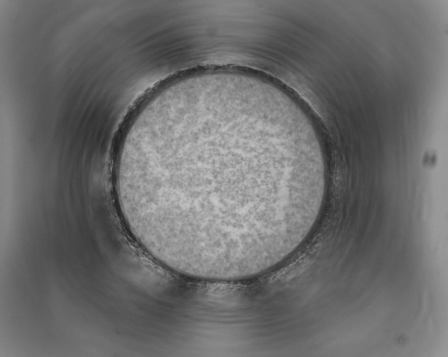 X0000091350832200708171429
