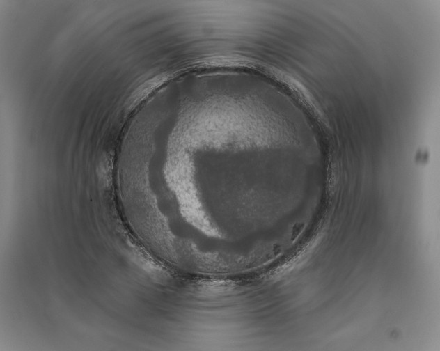 X0000091350833200708171429