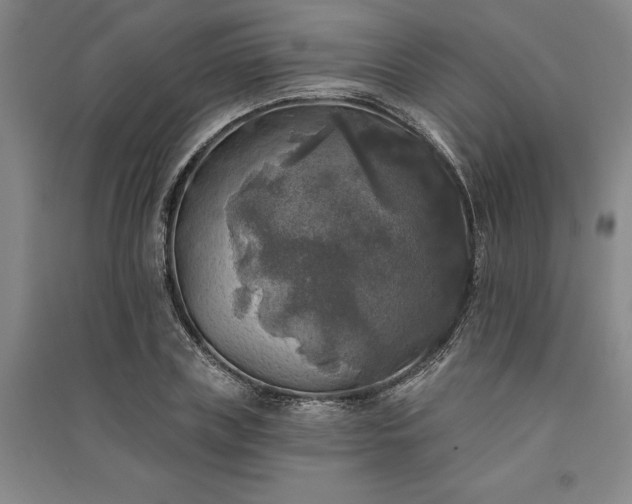 X0000091350835200708171429