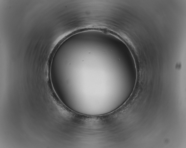 X0000091350838200708171429