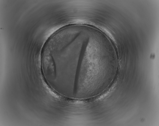X0000091350839200708171429