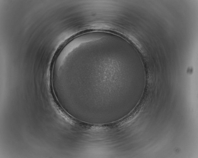 X0000091350840200708171429